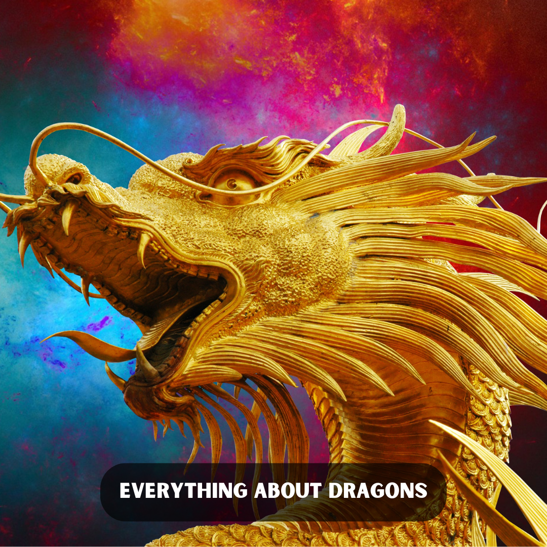 Everything About Dragons | Get 3D Printed Dragons in Sydney's Best Print Shop