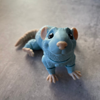 Rat