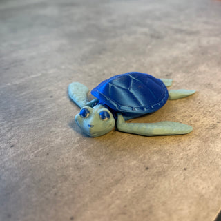 Marine Turtle