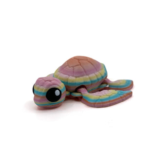 Rainbow pastel turtle