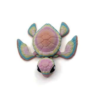 Rainbow pastel turtle