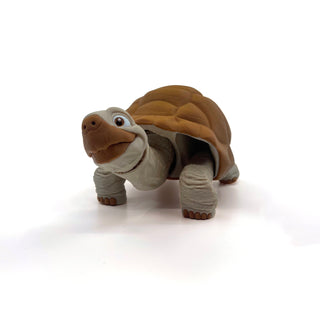 Tortoise