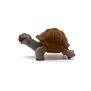 Tortoise